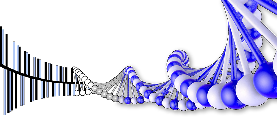 Digital To DNA